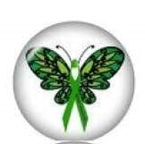 Butterfly Ribbon Cause Snap Charm 20mm for Snap Jewelry (Assorted Colors)