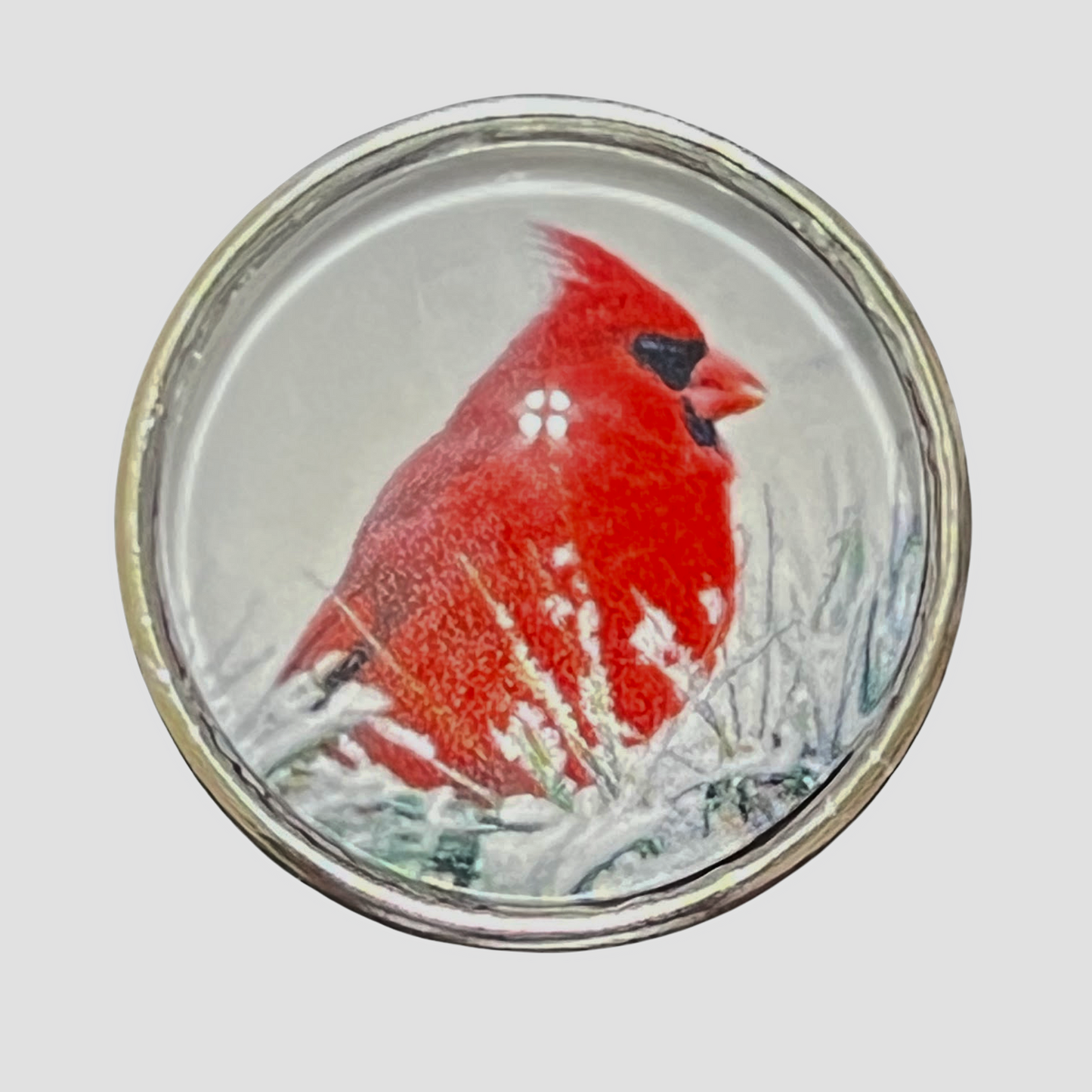 Red Winter Cardinal With White Background 20mm Snap Charm for Snap Charm Jewelry