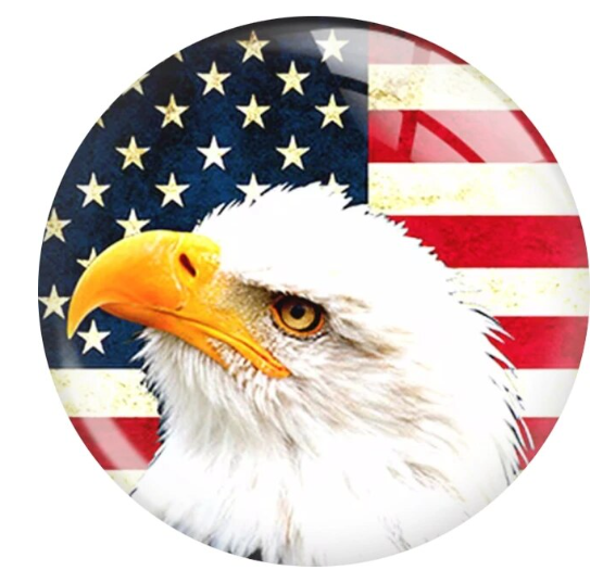 Flag Eagle Patriotic 20mm Snap Charm for Snap Jewelry