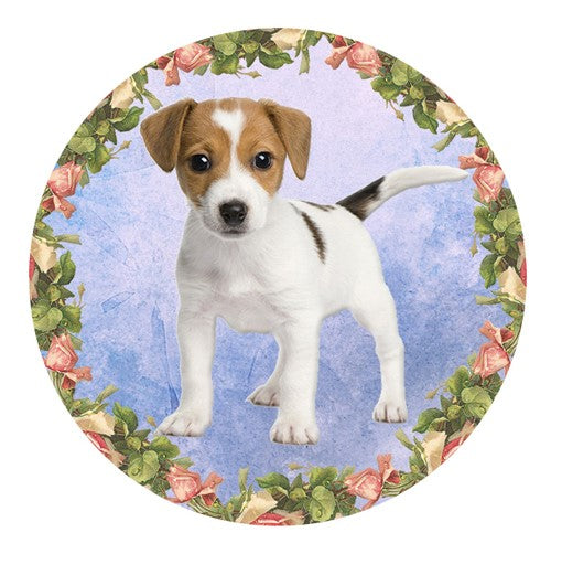 Rat Terrier Puppy Dog Snap Charm 20mm