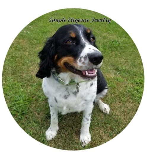 Brittney Spaniel Tri-Colored Dog Charm 20mm - Snap Jewelry