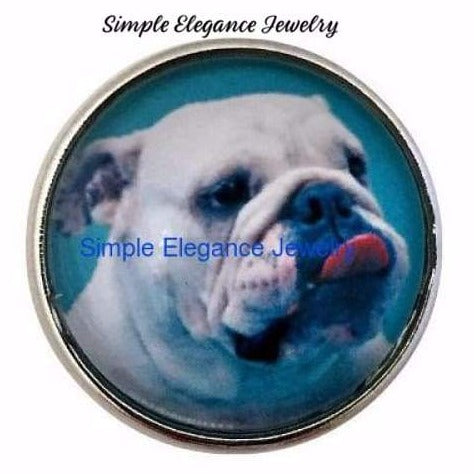 Bull Dog Snap Charm 20mm - Snap Jewelry