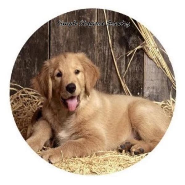 Golden Retriever Dog Snap 20mm - Snap Jewelry