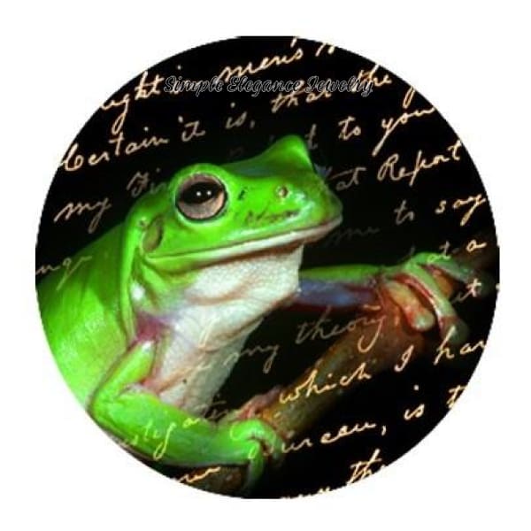 Green Tree Frog Snap Charm - Snap Jewelry