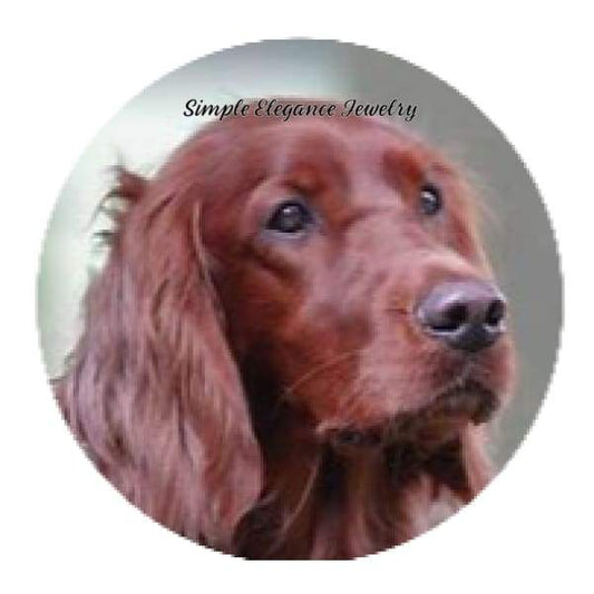 Irish Setter Dog Snap Charm 20mm - Snap Jewelry