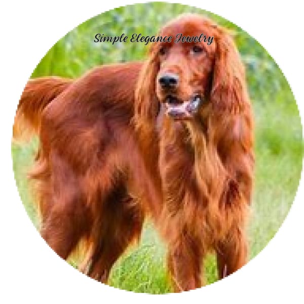 Irish Setter Dog Snap Charm 20mm - Snap Jewelry