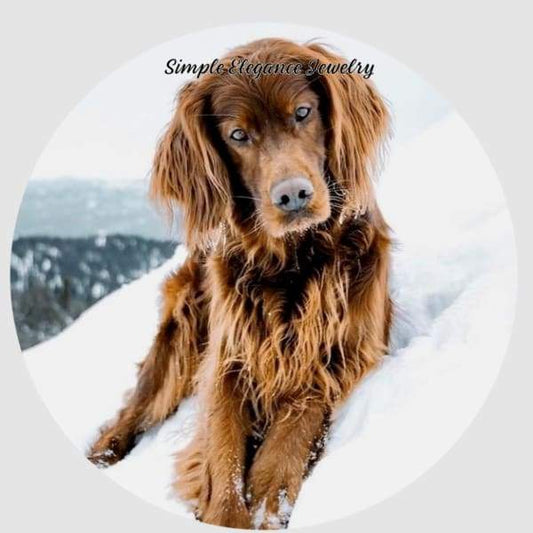 Irish Setter Dog Snap Charm 20mm - Snap Jewelry