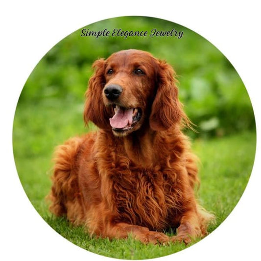 Irish Setter Snap Charm 20mm - Snap Jewelry