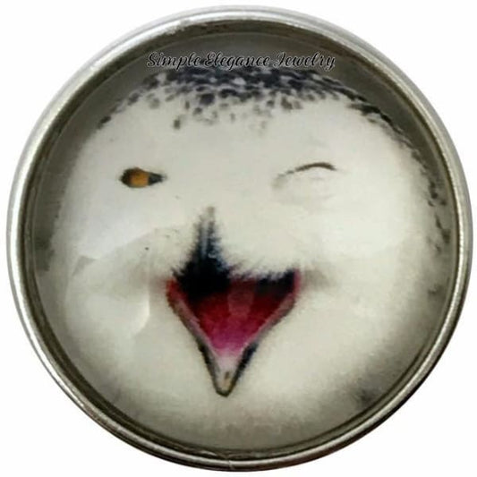 Owl Cracking Up Snap 20mm - Snap Jewelry
