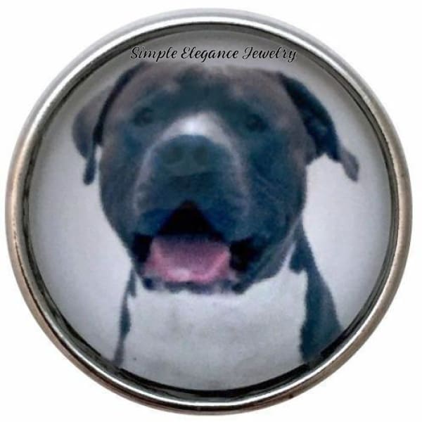 Pit Bull Dog Snap Charm 20mm for Snap Jewelry - Snap Jewelry
