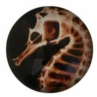 Seahorse Snap Charm 20mm for Snap-Simple Elegance Jewelry - Snap Jewelry