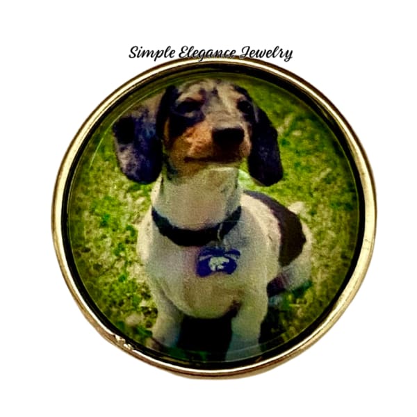 Tri Colored Dachshund Dog Snap 20mm - Snap Jewelry