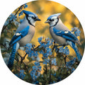 Blue Jay Male and Female Birds with Floral Background 20mm for 20mm Snap Jewelry