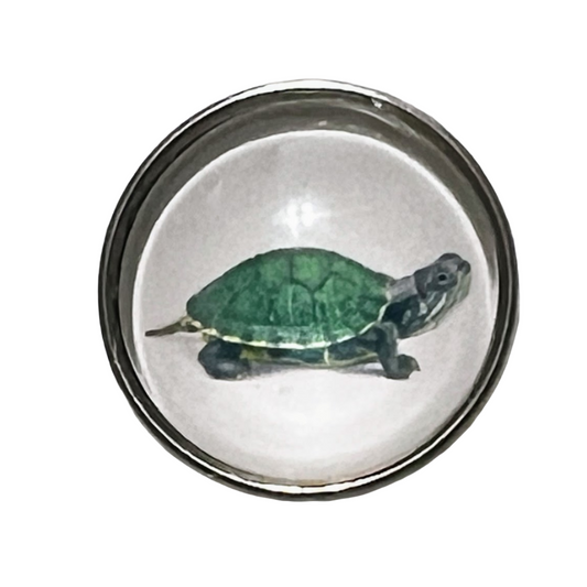 Red Ear Slider Water Turtle 20mm Snap Charm