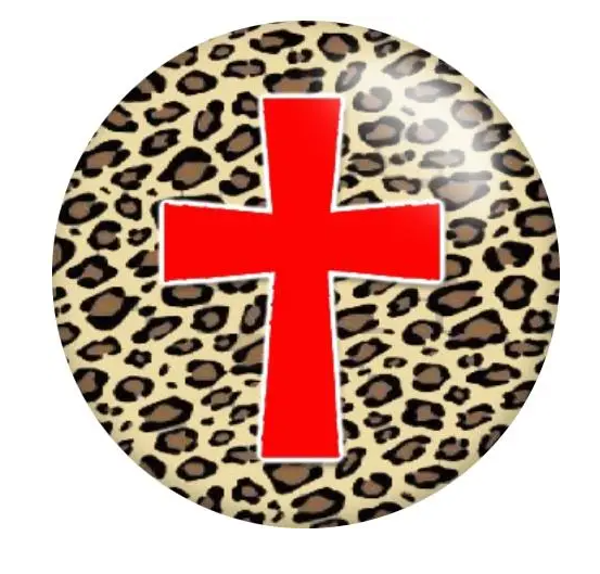 Leopard Print Red Cross 20mm Snap Charm for Snap Charm Jewelry