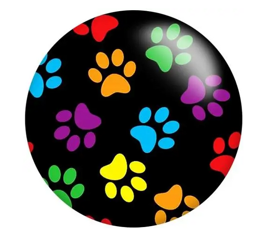 Black/Rainbow Colored Paw Dog Print Snap Charm 20mm