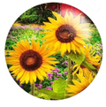 Sunflower Garden 20mm Snap Charm for Snap Jewelry