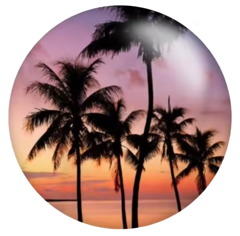 Tropical Palm Tree Beach Sunset 20mm Snap Charm for Snap Jewelry