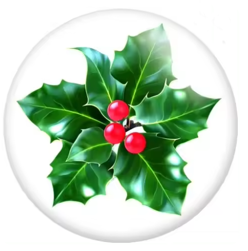 Christmas Holiday Holly 20mm Snap Charm for Snap Charm Jewelry