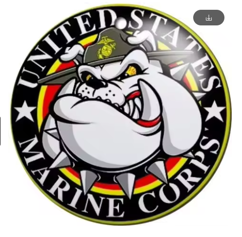 United States Marine Corp Bulldog 20mm Snap Charm for Snap Jewelry