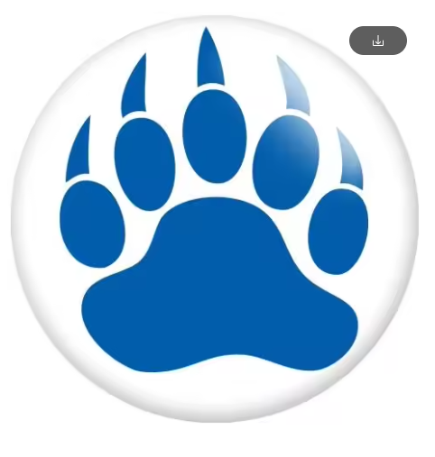 Blue Mascot Animal Paw Print 20mm Snap for Snap Jewelry