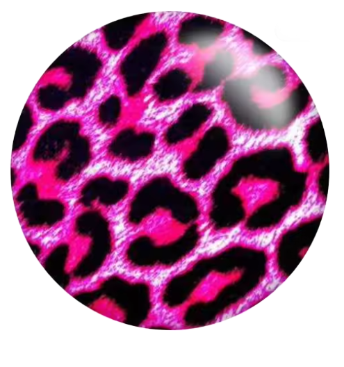 Pink Leopard Print 20mm Snap Charm for Snap Charm Jewelry