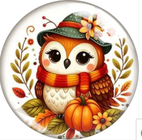 Fall Autumn Owl 20mm Snap Charm for Snap Jewelry