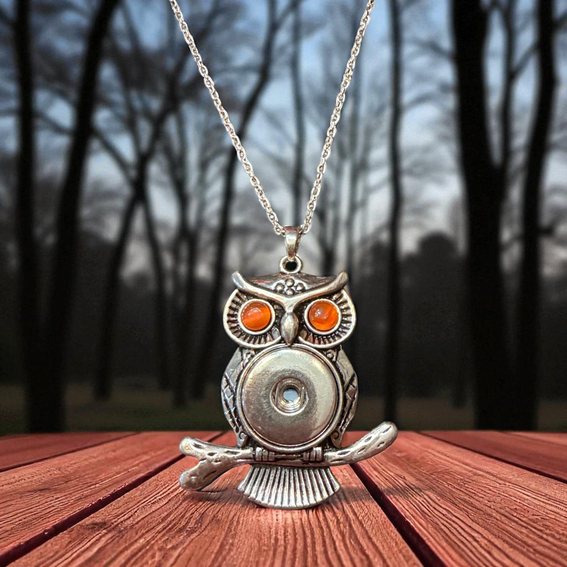 Rhinestone Eye Owl 20mm Snap Necklace with Chain for Snap Jewelry (Assorted Colors)