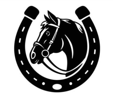 Simple Elegance Jewelry 20mm black and white western horse and horseshoe snap charm for jewelry