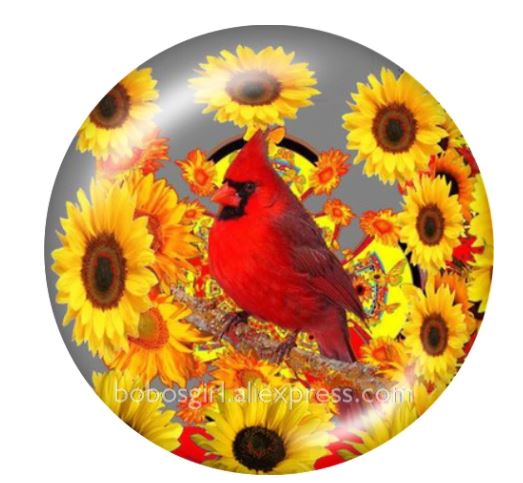 Cardinal Sunflower Snap Charm 20mm