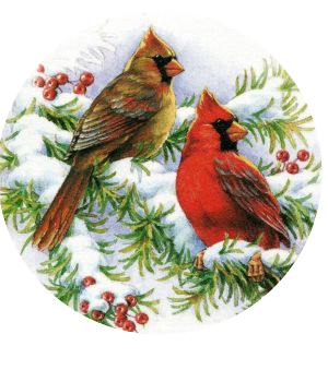 Winter Cardinals on Pine Limb 20mm Snap Charm