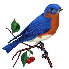 Blue Bird Snap Charm 20mm Snap