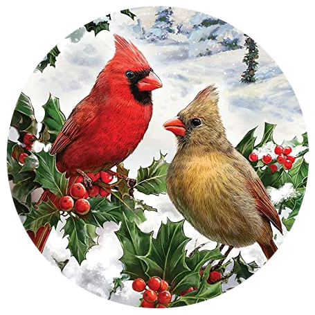 Cardinal Winter Holly Berry Winter Snap Charm 20mm