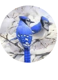 Winter Blue Jay Bird Snap Charm 20mm