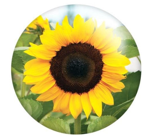 Acrylic Large Sunflower Snap Charm 20mm