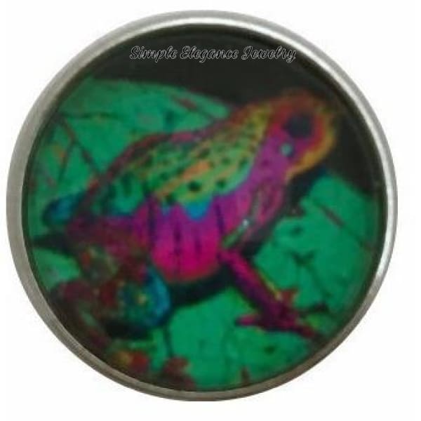 Amazon Frog Collection Snap Charm 20mm (12 Options) - 102 - Snap Jewelry