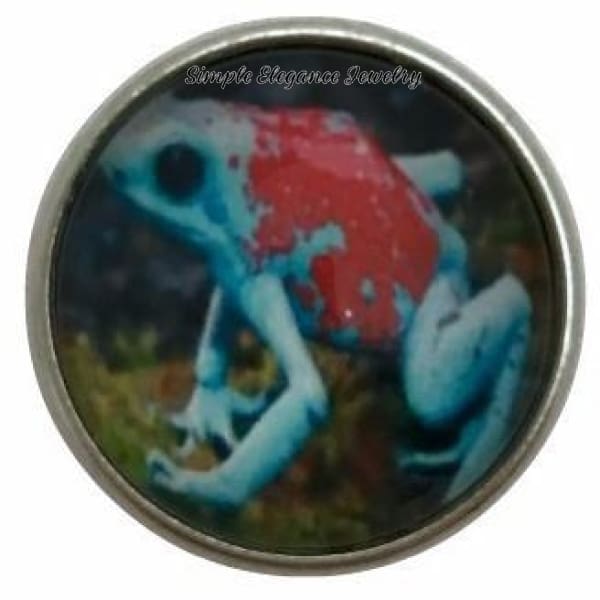 Amazon Frog Collection Snap Charm 20mm (12 Options) - 103 - Snap Jewelry