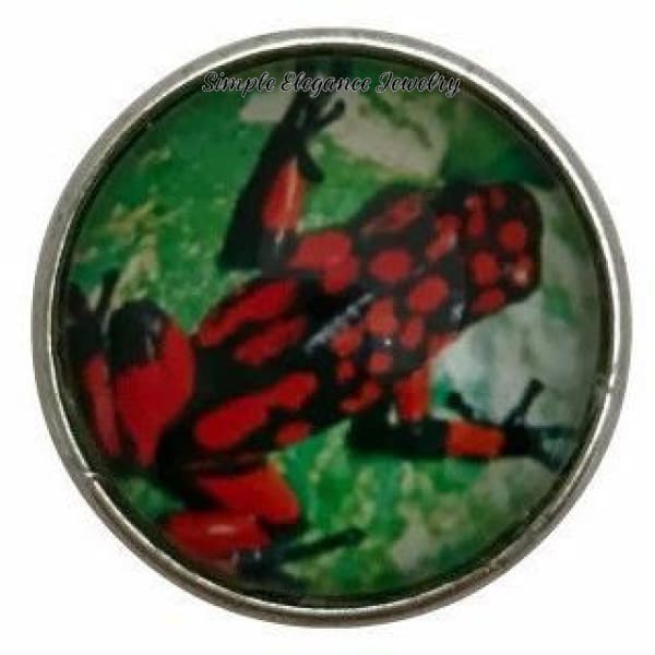 Amazon Frog Collection Snap Charm 20mm (12 Options) - 104 - Snap Jewelry