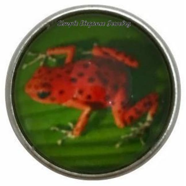 Amazon Frog Collection Snap Charm 20mm (12 Options) - 107 - Snap Jewelry
