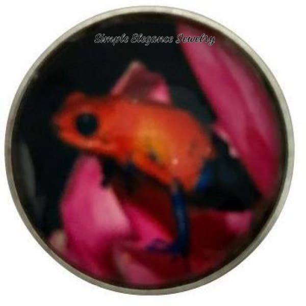 Amazon Frog Collection Snap Charm 20mm (12 Options) - 108 - Snap Jewelry