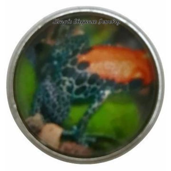 Amazon Frog Collection Snap Charm 20mm (12 Options) - 111 - Snap Jewelry