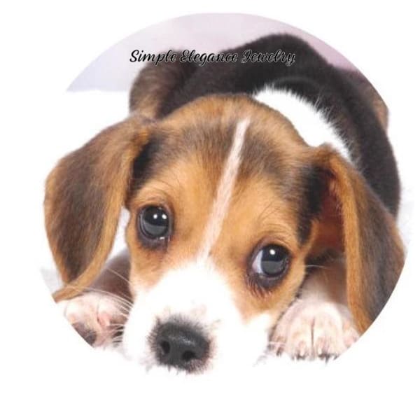 Beagle Puppy Snap Charm 20mm for Snap Jewery - Snap Jewelry