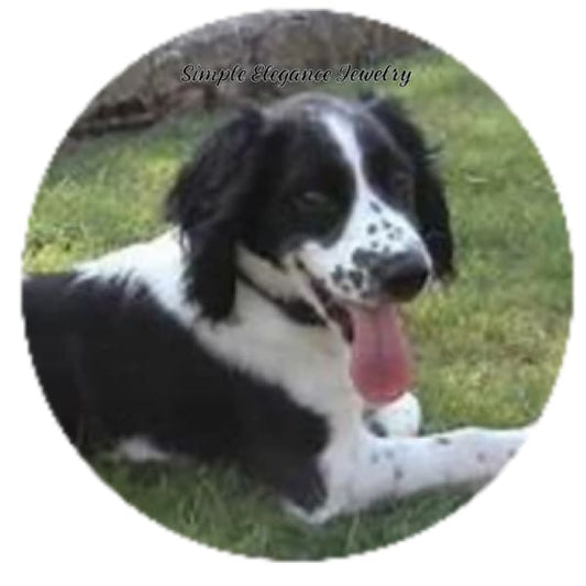 Black Brittany Dog Snap Charm 20mm - Snap Jewelry