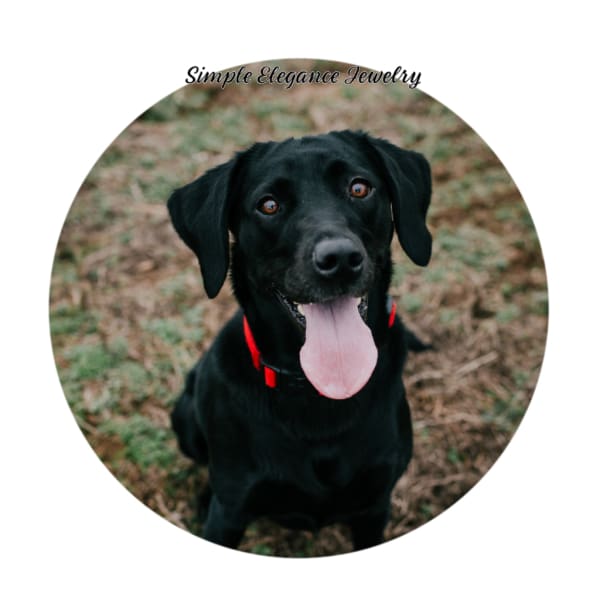 Black Labrador Dog Snap 20mm for Snap Charm Jewelry - Snap Jewelry