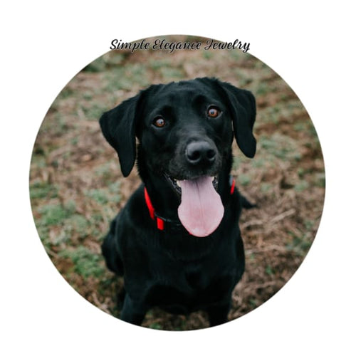 Black Labrador Dog Snap 20mm for Snap Charm Jewelry - Snap Jewelry