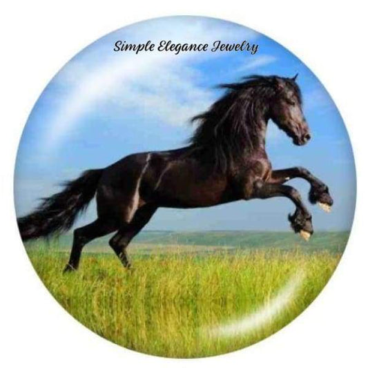 Black Stallion Horse Snap - Snap Jewelry