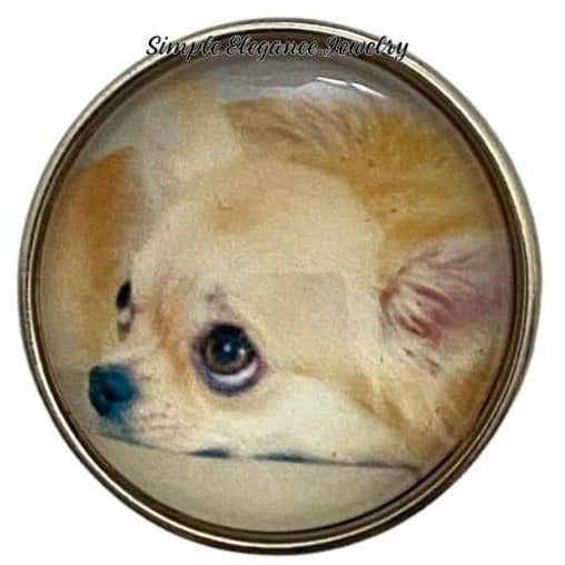 Blonde Chihuahua Dog Snap Charm 20mm - Snap Jewelry