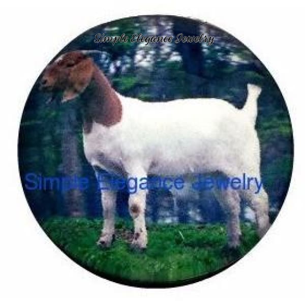 Boer Show Goat 20mm Snap for Snap Charm Jewelry - Snap Jewelry