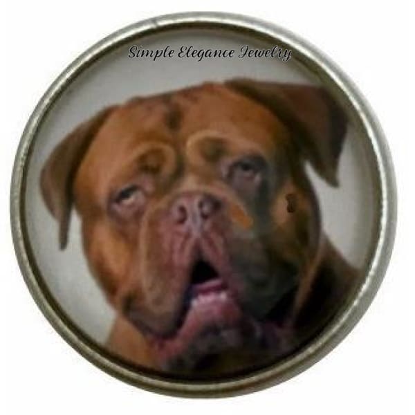 Bordeaux Mastiff Dog Snap Charm 20mm for Snap Jewelry - Snap Jewelry