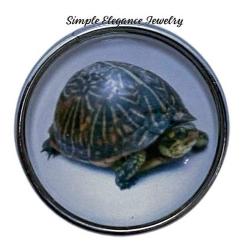 Box Turtle Snap Charm 20mm - Snap Jewelry